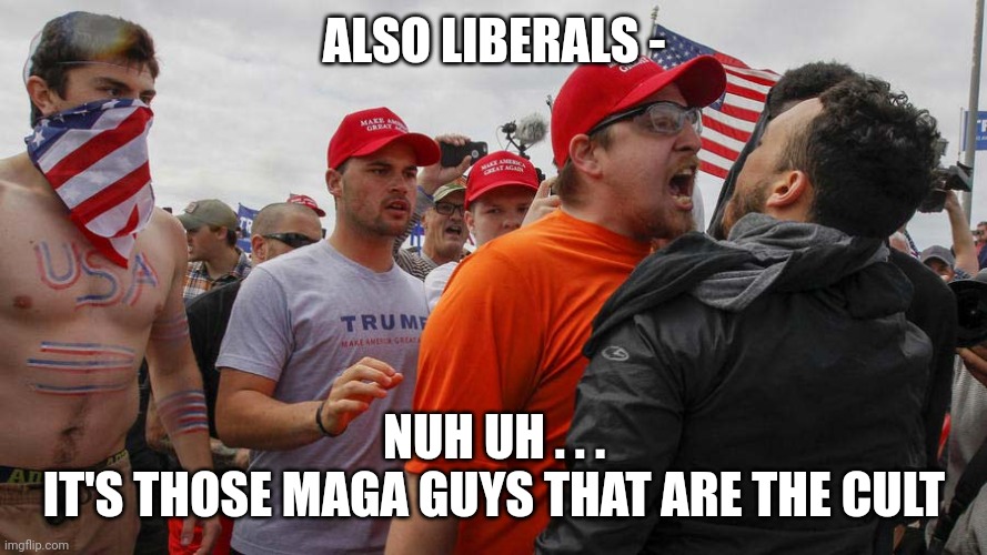 Angry Red Cap | ALSO LIBERALS - NUH UH . . .
IT'S THOSE MAGA GUYS THAT ARE THE CULT | image tagged in angry red cap | made w/ Imgflip meme maker