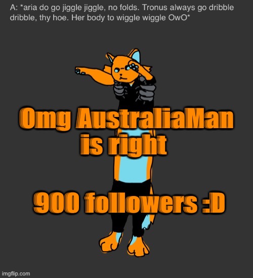 Aria The Longcat | Omg AustraliaMan is right; 900 followers :D | image tagged in aria the longcat | made w/ Imgflip meme maker