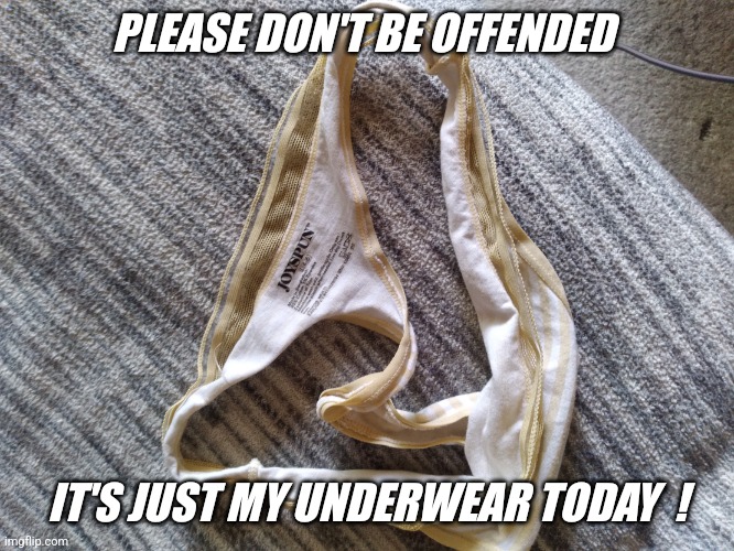 Joyspun Jeffrey... | PLEASE DON'T BE OFFENDED; IT'S JUST MY UNDERWEAR TODAY  ! | image tagged in walmart jeffrey | made w/ Imgflip meme maker