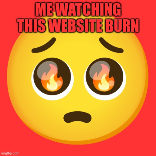 ME WATCHING THIS WEBSITE BURN | made w/ Imgflip meme maker