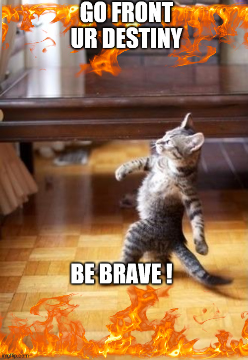 Cool Cat Stroll | GO FRONT UR DESTINY; BE BRAVE ! | image tagged in memes,cool cat stroll,destiny,cat,brave | made w/ Imgflip meme maker