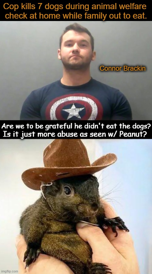 More questions than answers at this point but it smells like a lawsuit to me... | Cop kills 7 dogs during animal welfare 
check at home while family out to eat. Connor Brackin; Are we to be grateful he didn't eat the dogs? Is it just more abuse as seen w/ Peanut? | image tagged in squirrel,peanut,cop,animal welfare my ass,killing,animals | made w/ Imgflip meme maker