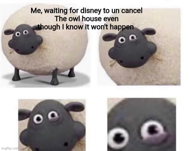 Sheep With Half Closed Eye | Me, waiting for disney to un cancel
The owl house even though I know it won't happen | image tagged in sheep with half closed eye | made w/ Imgflip meme maker