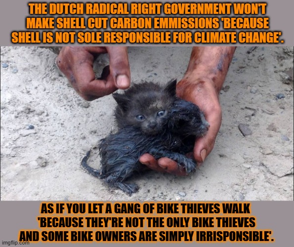 This #lolcat wonders why sane people think it's okay to ruin the planet | THE DUTCH RADICAL RIGHT GOVERNMENT WON'T MAKE SHELL CUT CARBON EMMISSIONS 'BECAUSE SHELL IS NOT SOLE RESPONSIBLE FOR CLIMATE CHANGE'. AS IF YOU LET A GANG OF BIKE THIEVES WALK 
'BECAUSE THEY'RE NOT THE ONLY BIKE THIEVES AND SOME BIKE OWNERS ARE SIMPLY IRRISPONSIBLE'. | image tagged in climate change,oil,lolcat,shell,politics,capitalism | made w/ Imgflip meme maker