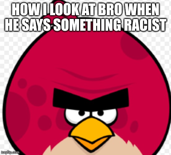 Big Bird | HOW I LOOK AT BRO WHEN HE SAYS SOMETHING RACIST | image tagged in big bird | made w/ Imgflip meme maker