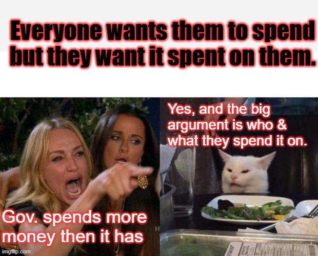 Debt is thier god. | Everyone wants them to spend but they want it spent on them. Yes, and the big argument is who & what they spend it on. Gov. spends more money then it has | image tagged in memes,woman yelling at cat | made w/ Imgflip meme maker