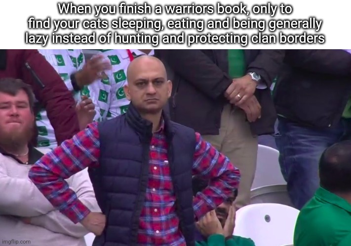 Real | When you finish a warriors book, only to find your cats sleeping, eating and being generally lazy instead of hunting and protecting clan borders | image tagged in disappointed muhammad sarim akhtar | made w/ Imgflip meme maker