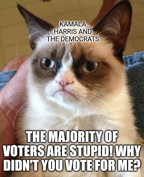 Gee, I wonder why. | KAMALA HARRIS AND THE DEMOCRATS; THE MAJORITY OF VOTERS ARE STUPID! WHY DIDN'T YOU VOTE FOR ME? | image tagged in memes,grumpy cat,kamala harris | made w/ Imgflip meme maker