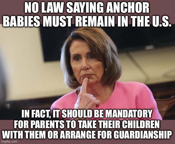 Pelosi Philosoraptor | NO LAW SAYING ANCHOR BABIES MUST REMAIN IN THE U.S. IN FACT, IT SHOULD BE MANDATORY FOR PARENTS TO TAKE THEIR CHILDREN WITH THEM OR ARRANGE  | image tagged in pelosi philosoraptor | made w/ Imgflip meme maker