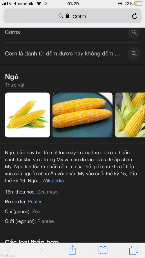 searched up corn | made w/ Imgflip meme maker