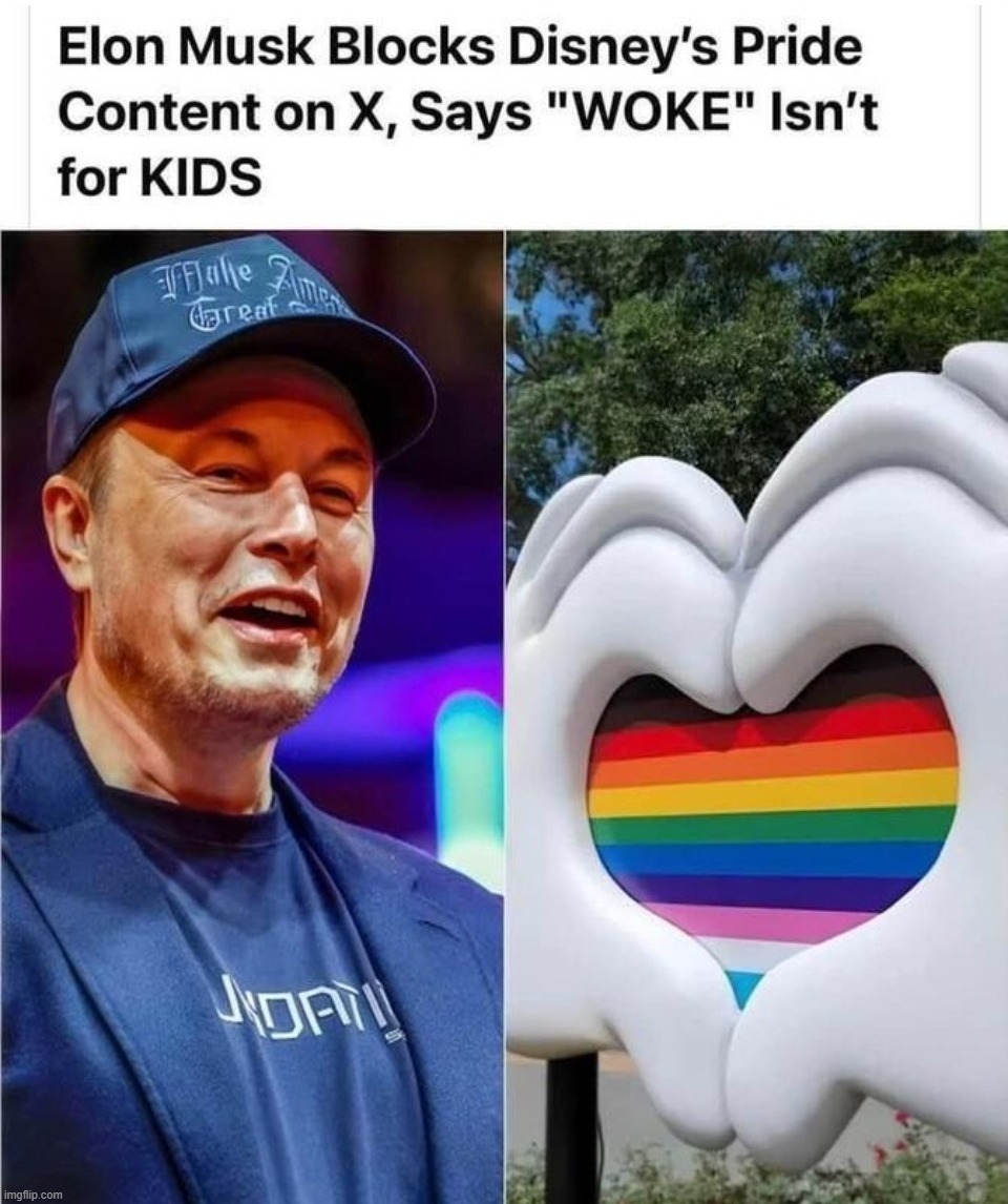 Yes it's true, according to America's Voice News. | image tagged in elon musk,disney pride,twitter,make america great again,make liberals cry again,wokism | made w/ Imgflip meme maker