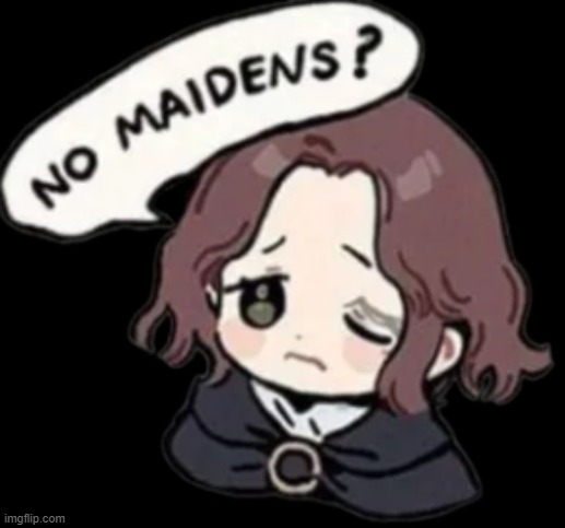 No maidens? | image tagged in no maidens | made w/ Imgflip meme maker