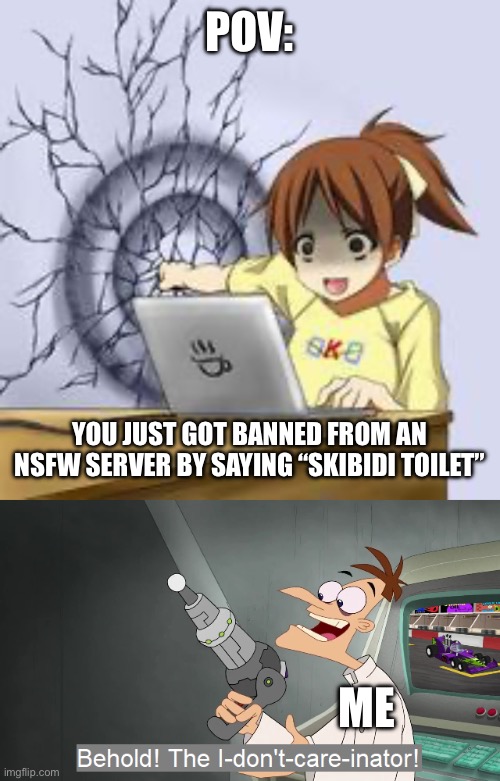 I wonder why | POV:; YOU JUST GOT BANNED FROM AN NSFW SERVER BY SAYING “SKIBIDI TOILET”; ME | image tagged in anime wall punch,the i don't care inator | made w/ Imgflip meme maker