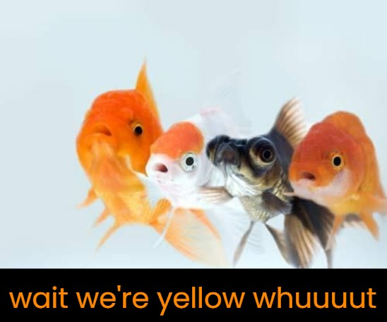 wait we're yellow whuuuut | made w/ Imgflip meme maker