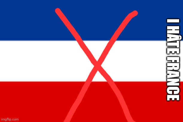 I hâte france | I HÂTE FRANCE | image tagged in yugoslavia flag | made w/ Imgflip meme maker