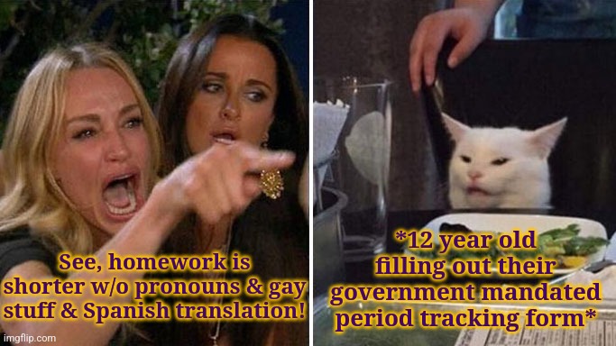 Most of my homework was gay, ngl | *12 year old filling out their government mandated period tracking form*; See, homework is shorter w/o pronouns & gay stuff & Spanish translation! | image tagged in angry lady cat,donald trump approves | made w/ Imgflip meme maker