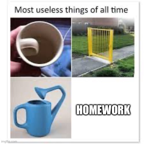 Homework, just like throwing water over a grease fire. Highly recommend! | HOMEWORK | image tagged in most useless things | made w/ Imgflip meme maker