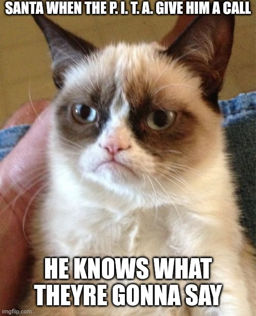 Grumpy Cat | SANTA WHEN THE P. I. T. A. GIVE HIM A CALL; HE KNOWS WHAT THEYRE GONNA SAY | image tagged in memes,grumpy cat | made w/ Imgflip meme maker