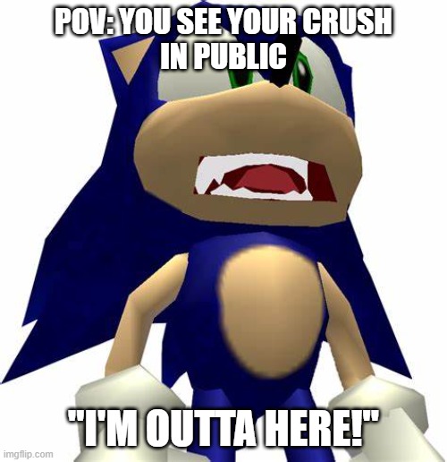 Sonic Meme 1 | POV: YOU SEE YOUR CRUSH
IN PUBLIC; "I'M OUTTA HERE!" | image tagged in screm | made w/ Imgflip meme maker