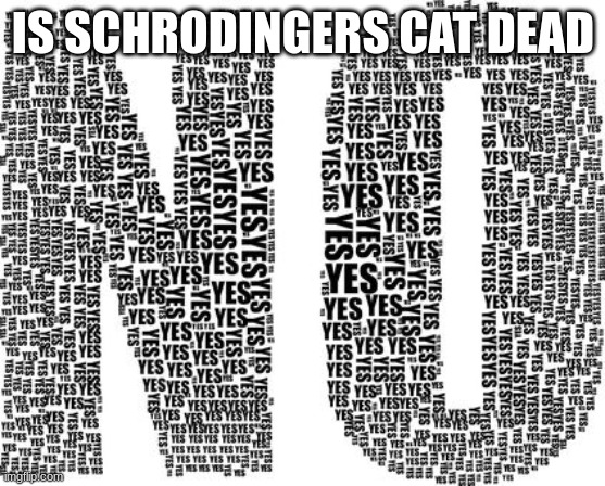 new template | IS SCHRODINGERS CAT DEAD | image tagged in yes no | made w/ Imgflip meme maker