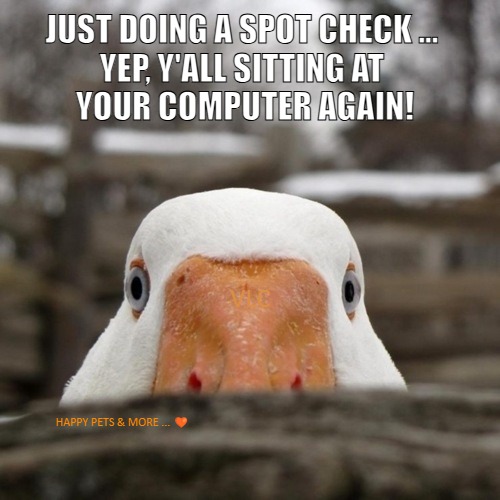 JUST DOING A SPOT CHECK ... 
YEP, Y'ALL SITTING AT 
YOUR COMPUTER AGAIN! VLC; HAPPY PETS & MORE ... 🧡 | made w/ Imgflip meme maker