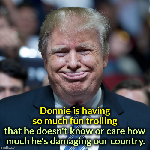 Kooks, cranks and clowns. Not what our country needs right now. | Donnie is having so much fun trolling; that he doesn't know or care how 
much he's damaging our country. | image tagged in trump,trolling,idiots,clowns,disaster | made w/ Imgflip meme maker