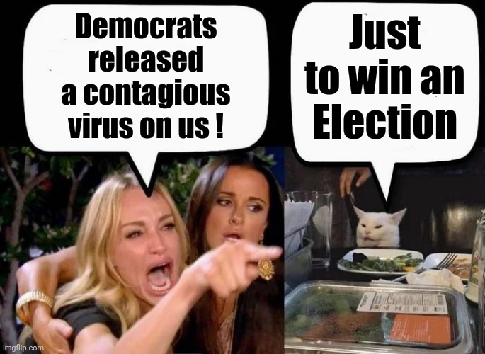 Don't eat the Cat | Democrats released a contagious virus on us ! Just to win an Election | image tagged in don't eat the cat | made w/ Imgflip meme maker