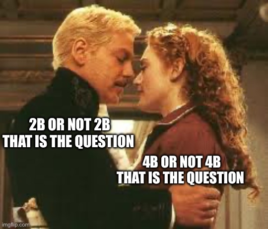 Poor ophelia | 2B OR NOT 2B THAT IS THE QUESTION; 4B OR NOT 4B THAT IS THE QUESTION | image tagged in hamlet and ophelia | made w/ Imgflip meme maker