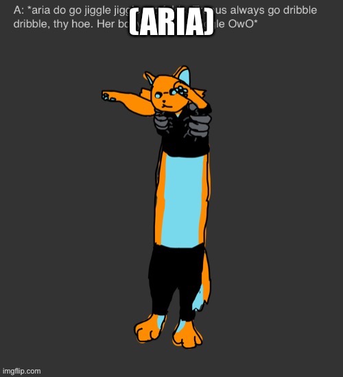 Aria The Longcat | (ARIA) | image tagged in aria the longcat | made w/ Imgflip meme maker