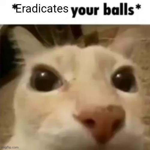 X your balls | Eradicates | image tagged in x your balls | made w/ Imgflip meme maker