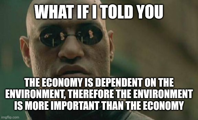 It's the environment, stupid! | WHAT IF I TOLD YOU; THE ECONOMY IS DEPENDENT ON THE ENVIRONMENT, THEREFORE THE ENVIRONMENT IS MORE IMPORTANT THAN THE ECONOMY | image tagged in matrix morpheus,economics,environment | made w/ Imgflip meme maker