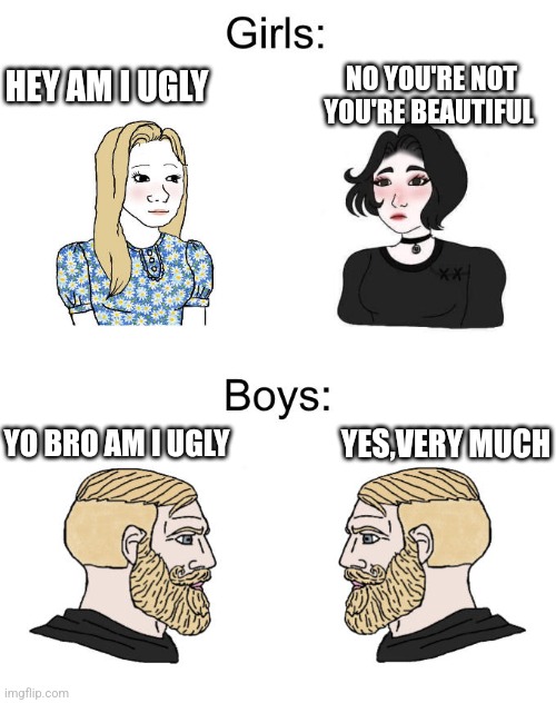 Wojak girls vs boys | NO YOU'RE NOT YOU'RE BEAUTIFUL; HEY AM I UGLY; YO BRO AM I UGLY; YES,VERY MUCH | image tagged in wojak girls vs boys | made w/ Imgflip meme maker