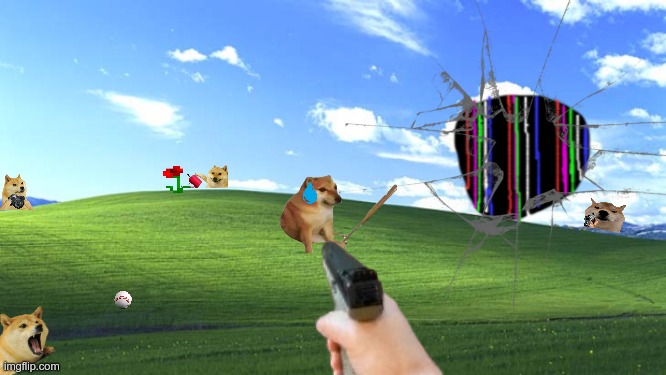 doge park | image tagged in doge | made w/ Imgflip meme maker