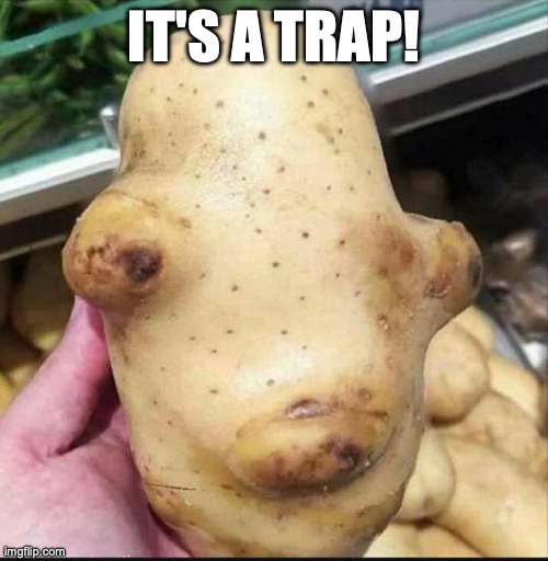 Remember this? | IT'S A TRAP! | image tagged in remember this guy | made w/ Imgflip meme maker