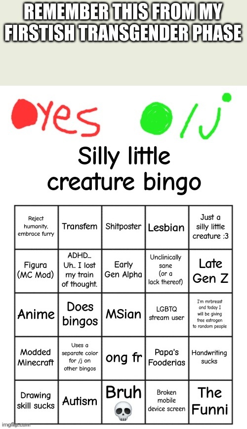 Remember that I still think that this bingo is okay if just a little transfem but yeah its okay :3 | REMEMBER THIS FROM MY FIRSTISH TRANSGENDER PHASE | image tagged in lol300's silly little creature bingo | made w/ Imgflip meme maker