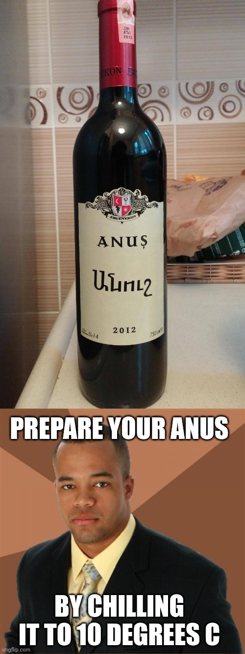 PREPARE YOUR ANUS; BY CHILLING IT TO 10 DEGREES C | image tagged in memes,successful black man,wine | made w/ Imgflip meme maker