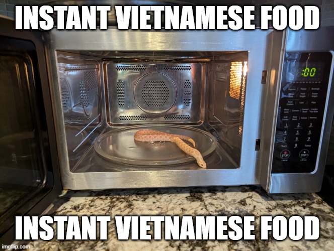 Acting courtesy of my snake Toddy | INSTANT VIETNAMESE FOOD; INSTANT VIETNAMESE FOOD | image tagged in snake,offensive,racist,funny | made w/ Imgflip meme maker