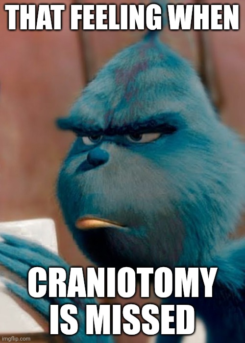 Sad blue grinch | THAT FEELING WHEN CRANIOTOMY IS MISSED | image tagged in sad blue grinch | made w/ Imgflip meme maker