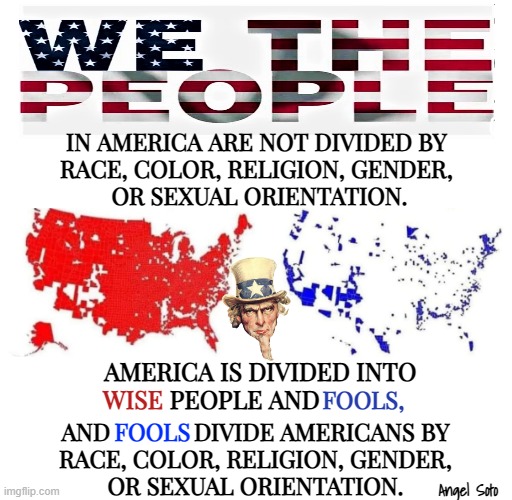 We the people in America are not divided | IN AMERICA ARE NOT DIVIDED BY
RACE, COLOR, RELIGION, GENDER,
 OR SEXUAL ORIENTATION. AMERICA IS DIVIDED INTO         PEOPLE AND; FOOLS, WISE; AND              DIVIDE AMERICANS BY
RACE, COLOR, RELIGION, GENDER,
 OR SEXUAL ORIENTATION. FOOLS; Angel Soto | image tagged in america,we the people,race,color,gender,religion | made w/ Imgflip meme maker