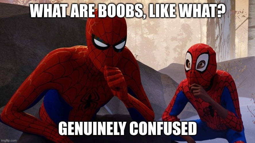 Spider-verse Meme | WHAT ARE BOOBS, LIKE WHAT? GENUINELY CONFUSED | image tagged in spider-verse meme | made w/ Imgflip meme maker