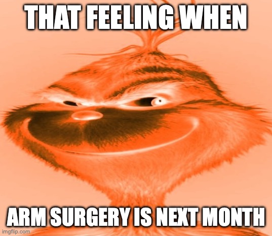 I lack creativity | THAT FEELING WHEN; ARM SURGERY IS NEXT MONTH | image tagged in blue grinch | made w/ Imgflip meme maker