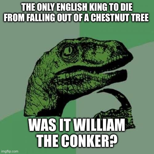 Maybe? | THE ONLY ENGLISH KING TO DIE FROM FALLING OUT OF A CHESTNUT TREE; WAS IT WILLIAM THE CONKER? | image tagged in memes,philosoraptor | made w/ Imgflip meme maker