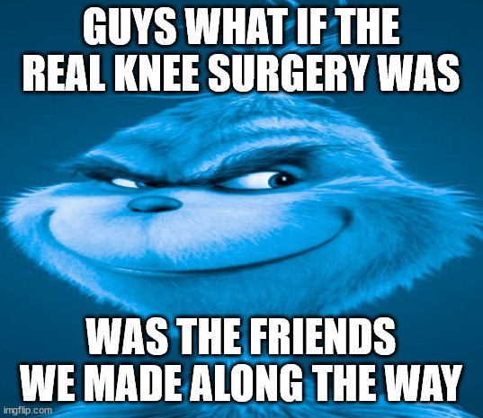 Blue Grinch | GUYS WHAT IF THE REAL KNEE SURGERY WAS; WAS THE FRIENDS WE MADE ALONG THE WAY | image tagged in blue grinch | made w/ Imgflip meme maker
