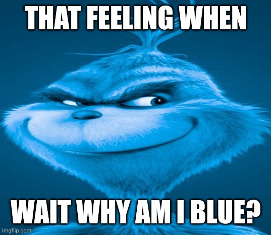 Blue Grinch | THAT FEELING WHEN; WAIT WHY AM I BLUE? | image tagged in blue grinch | made w/ Imgflip meme maker