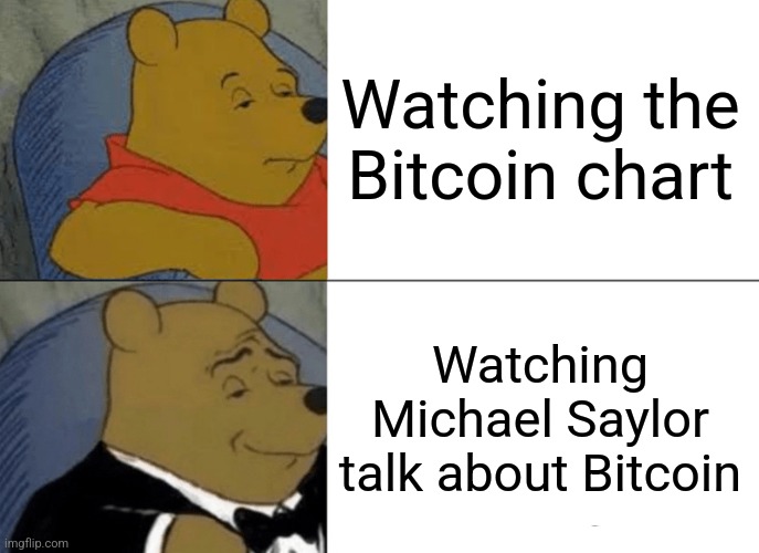 Tuxedo Winnie The Pooh Meme | Watching the Bitcoin chart; Watching Michael Saylor talk about Bitcoin | image tagged in memes,tuxedo winnie the pooh | made w/ Imgflip meme maker