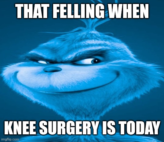 Knee surgery | THAT FELLING WHEN; KNEE SURGERY IS TODAY | image tagged in blue grinch | made w/ Imgflip meme maker