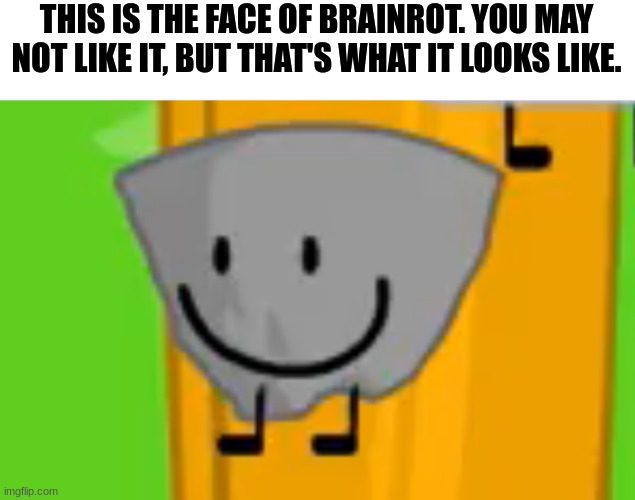 If anyone tries to counteract me, then i will explain why. | THIS IS THE FACE OF BRAINROT. YOU MAY NOT LIKE IT, BUT THAT'S WHAT IT LOOKS LIKE. | image tagged in stupid | made w/ Imgflip meme maker