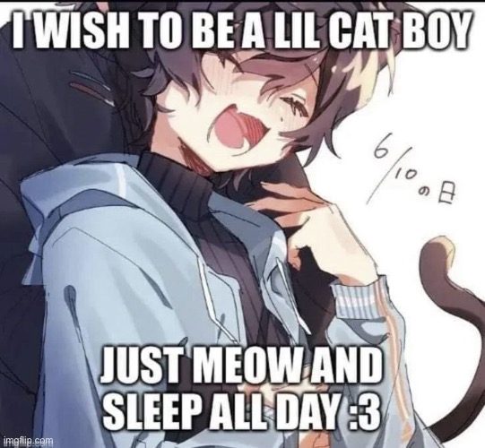 Dw I won’t spam, back to shitposts | made w/ Imgflip meme maker
