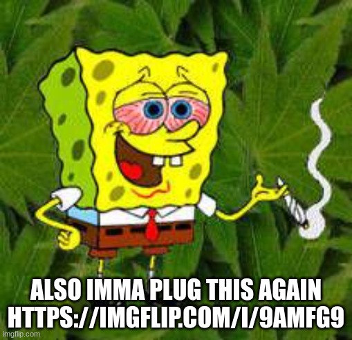 Weed | ALSO IMMA PLUG THIS AGAIN
HTTPS://IMGFLIP.COM/I/9AMFG9 | image tagged in weed | made w/ Imgflip meme maker