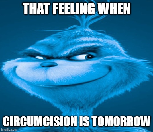 Blue Grinch | THAT FEELING WHEN CIRCUMCISION IS TOMORROW | image tagged in blue grinch | made w/ Imgflip meme maker